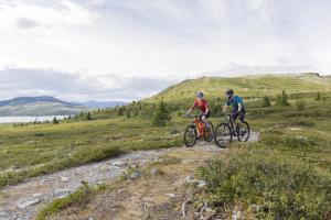 Naturlandskabet i nærheden af hotellet