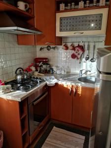 A kitchen or kitchenette at Apartman Anđela