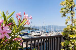 a view of a marina with boats docked at Hotel de Charme Laveno in Laveno-Mombello