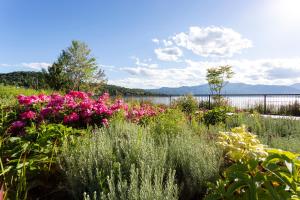 a garden with pink flowers and a fence at Hotel de Charme Laveno in Laveno-Mombello