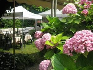 a bush of pink flowers with tables and chairs at Hotel La Bussola in Cittiglio