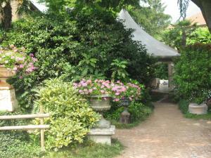 a garden with potted plants and flowers at Hotel La Bussola in Cittiglio