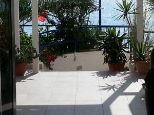 a patio with potted plants and a view of the ocean at Hotel Mareblu in Amantea