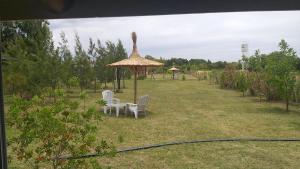 two chairs and a table and an umbrella in a yard at Los manzanos . in Colón