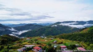 山林小屋附近的自然景觀