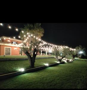 un arbre avec des lumières dans une cour la nuit dans l'établissement Casale degli Ulivi, à Cirò Marina