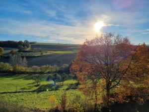 un arbre dans un champ avec le soleil dans le ciel dans l'établissement Zur Morschbach, à Altlay