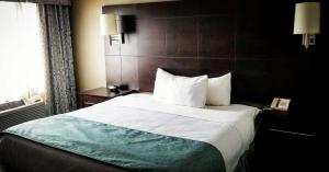 um quarto de hotel com uma cama grande e um telefone em Comfort Inn & Conference Centre Toronto Airport em Toronto