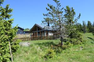 a house in the middle of a field with trees at Skeikampen Booking in Svingvoll