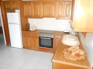 A kitchen or kitchenette at Chrysolithos Kerami Apartments