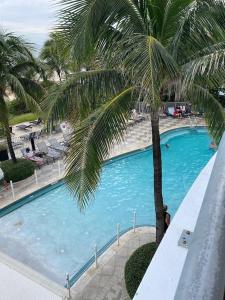 a large swimming pool with a palm tree in a resort at Best Resort Beach Front Condo in Miami Beach