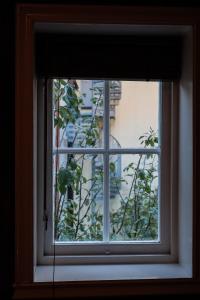 a window with a view of a building at Charming Bergen house, rare historic house from 1779, Whole house in Bergen