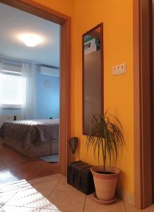 um quarto com um espelho e um vaso de plantas em Apartman Silvija em Osijek