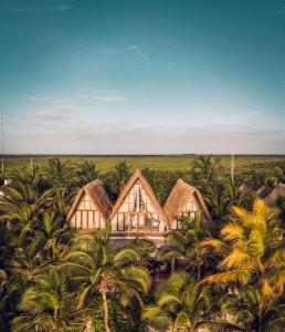 - une vue aérienne sur une maison entourée de palmiers dans l'établissement La Valise Tulum, member of Small Luxury Hotels, à Tulum