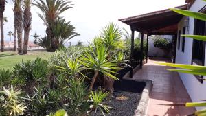 a pathway leading to a house with palm trees at La Quinta Villas in San Miguel de Abona