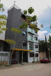 een gebouw met een boom ervoor bij The Lu'um House in Tuxtla Gutiérrez