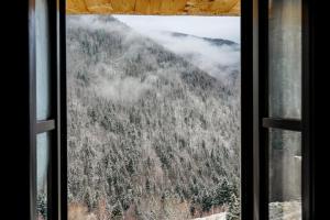 ein Fenster mit Blick auf einen Wald von Bäumen in der Unterkunft Pensiunea Hodăița in Măgura