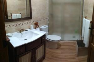 a bathroom with a sink and a toilet and a mirror at LA QUEDADA DE NAVA in Nava del Rey