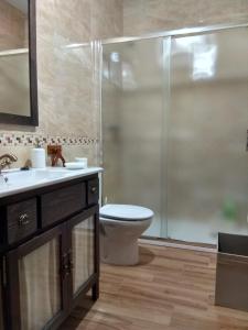 a bathroom with a shower and a toilet and a sink at LA QUEDADA DE NAVA in Nava del Rey