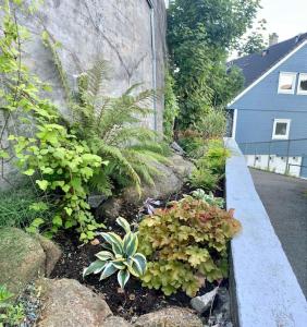 a garden with flowers and plants next to a building at Cosy house with sunny terrace, garden and fjord view in Bergen