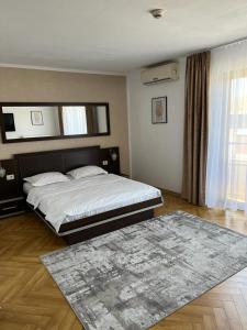 ein Schlafzimmer mit einem großen Bett und einem Teppich in der Unterkunft Pensiunea Max in Cluj-Napoca