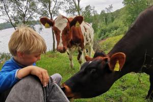 Zvieratá v dovolenkovom dome alebo blízkom okolí