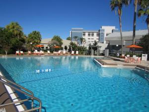 A piscina localizada em Holiday Inn Orlando International Dr-ICON, an IHG Hotel ou nos arredores