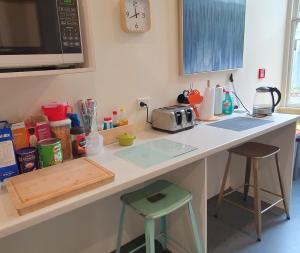 a kitchen counter with a sink and a microwave at Travel Stay City Hostel in Dunedin