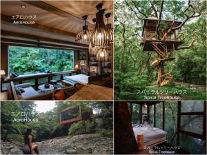 תמונה מהגלריה של Treeful Treehouse Sustainable Resort בנאגו