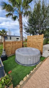 un cortile con una palma e un grande materiale circolarificialificialificialificialificiale di Mobil home 6 personnes camping 4* Les Pins Maritimes a Hyères