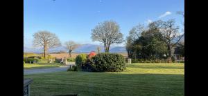 um jardim verde com uma sebe e árvores e uma estrada em Loch Lein Country House em Killarney