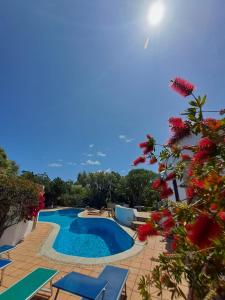 The swimming pool at or close to Private Villa ORIONE