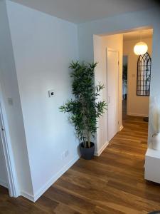 Foto da galeria de Perfectly situated luxury 2 bedroom apartment em Glasgow