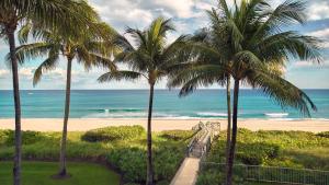 uma vista para a praia a partir de um resort com palmeiras em Beach Club at The Boca Raton em Boca Raton