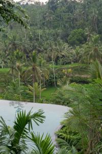 Un paisaje natural cerca del resort