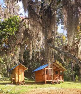 En trädgård utanför Pinar del Valle - Glamping en el Bosque - Propiedad Completa en Constanza