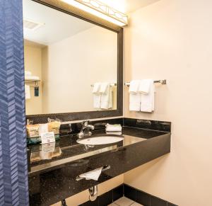 Баня в Fairfield Inn & Suites by Marriott San Antonio Downtown/Alamo Plaza