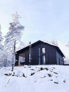 Villa Aurinkorinne Himos talvel