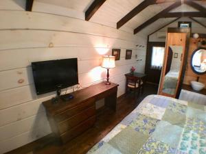 una camera da letto con TV a schermo piatto a parete di Tiny Home Cottage Near the Smokies #10 Helena a Sevierville