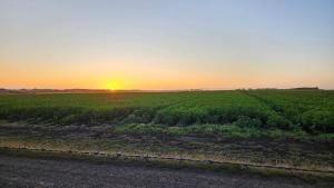 O pôr ou nascer do sol visto da casa de hóspedes ou dos arredores