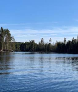 un grande lago con alberi sullo sfondo di Velkommen til Finnskogen og minihytta Rimbila a Kongsvinger