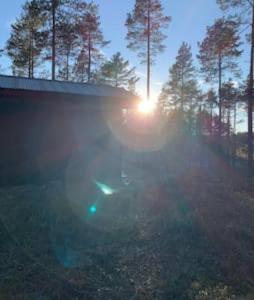 il sole tramonta dietro alcuni alberi in un campo di Velkommen til Finnskogen og minihytta Rimbila a Kongsvinger