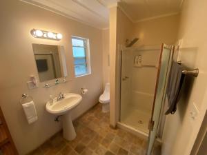 a bathroom with a sink and a shower at Seven Circles Lodge&Retreat in Badger