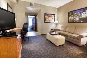 Телевизия и/или развлекателен център в Drury Inn & Suites San Antonio North Stone Oak