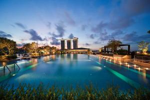 Басейн в или близо до The Fullerton Bay Hotel Singapore