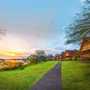 einen Weg in einem Feld mit Häusern im Hintergrund in der Unterkunft Chobe Safari Lodge in Kamdini