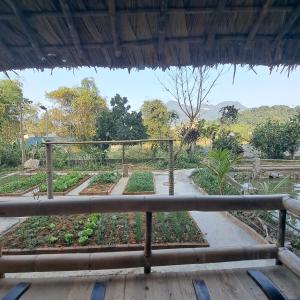 a view of a garden from a porch at Homestay field - bungalow, Ha giang loop tour, motorbikes rental in Ha Giang