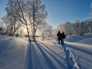 Ringstad Resort ziemā