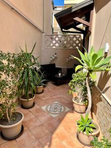 a patio with a bunch of potted plants at Anfitrite B&B Tropea in Tropea