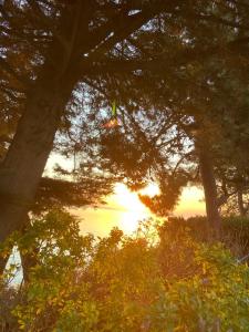 ein Sonnenuntergang durch einige Bäume mit Sonnenuntergang im Hintergrund in der Unterkunft Troia Apartments in Troia